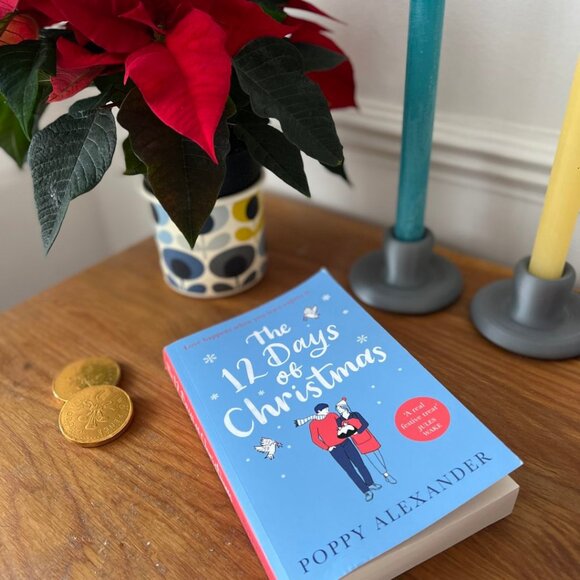 The 12 Days of Christmas Novel | Poppy Alexander - Picture 2 of 2